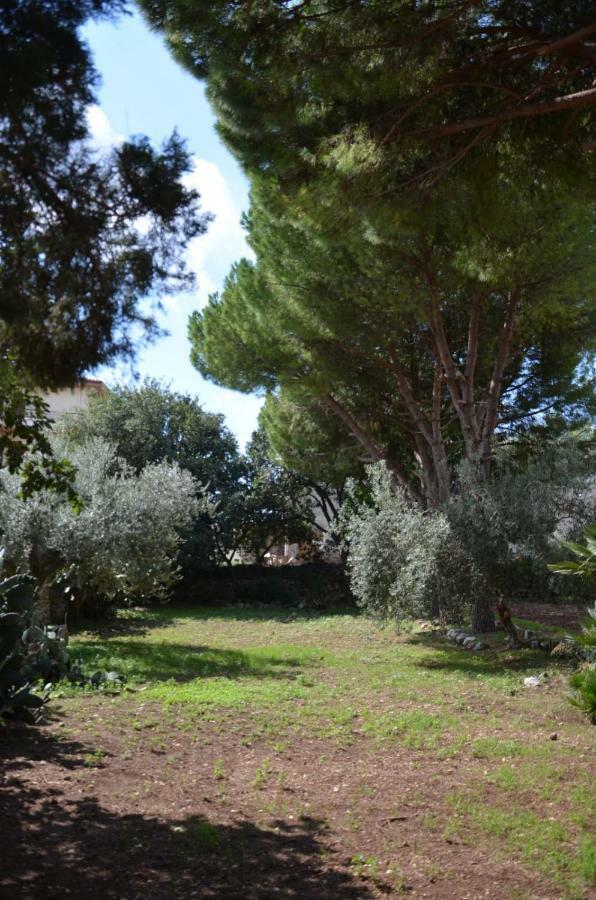 Villa Alchea Locazione Turistica โมดิกา ภายนอก รูปภาพ